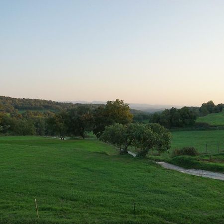 Mas Roca Del Mill Βίλα Perafita Εξωτερικό φωτογραφία